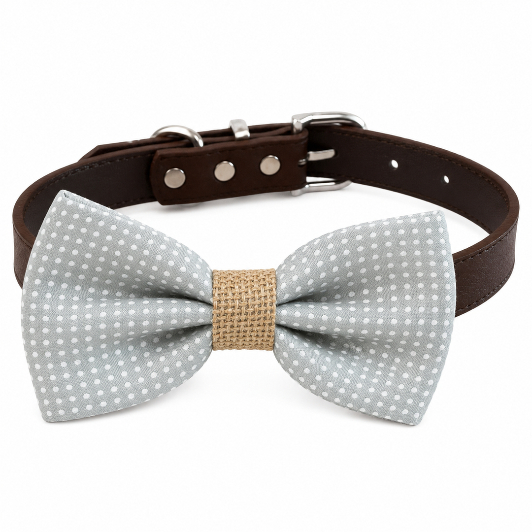 Blue gray polka dot dog bow tie collar with woven center band and dark brown vegan leather collar
