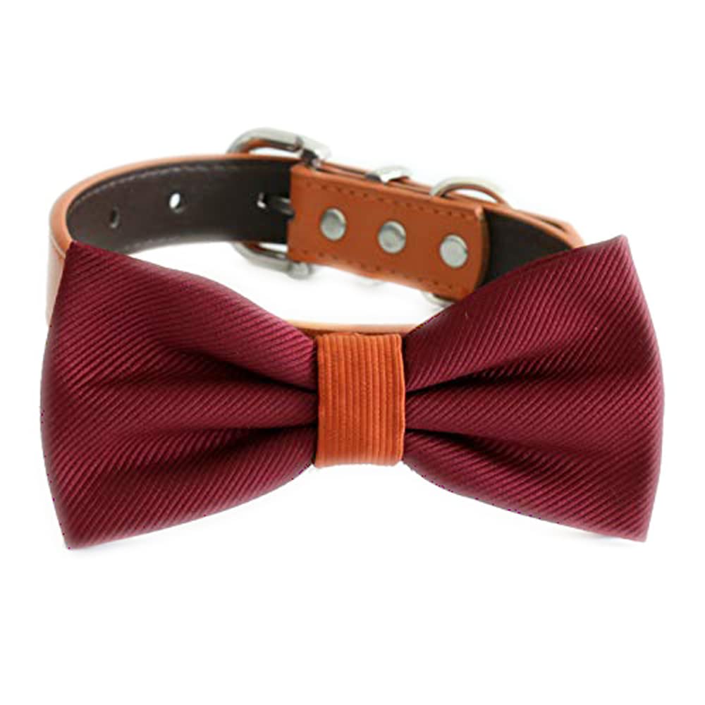Burgundy dog bow tie collar featuring a cinnamon center accent and matching cinnamon vegan leather collar with silver hardware