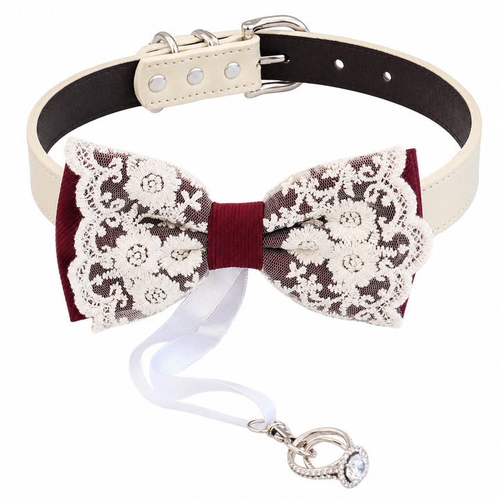 Burgundy lace ring bearer dog bow tie attached to an ivory vegan leather collar with wedding ring holder ribbon