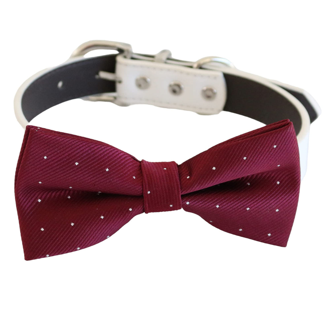 Burgundy silver dot dog bow tie attached to a white vegan leather collar with silver hardware