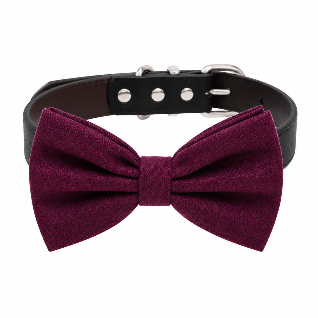 Burgundy solid color dog bow tie collar with black vegan leather collar and silver-tone hardware