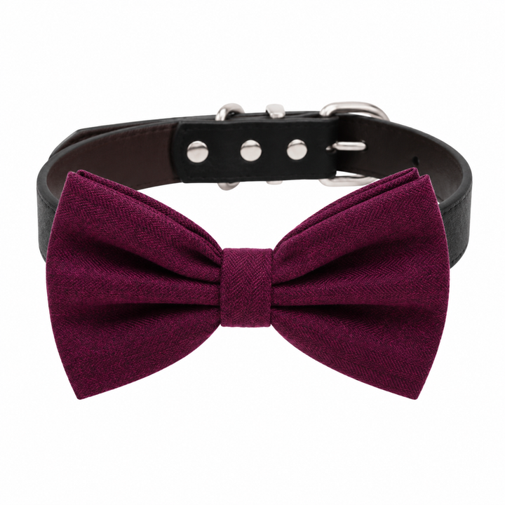 Burgundy solid color dog bow tie collar with black vegan leather collar and silver-tone hardware