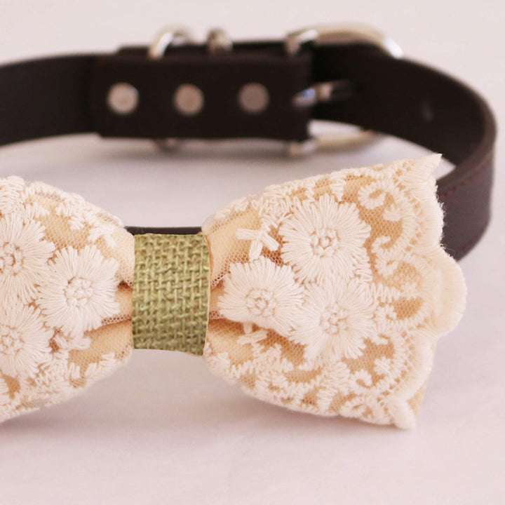 Champagne floral lace dog bow tie close-up featuring embroidered flower lace details, scalloped edges, and sage green textured center band