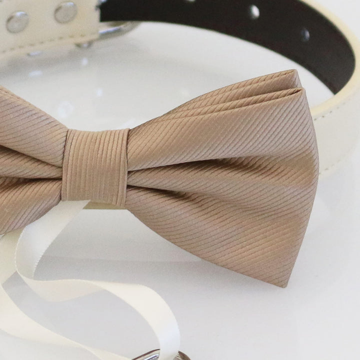 Champagne ring bearer dog bow tie with textured satin fabric and attached ring holder ribbon