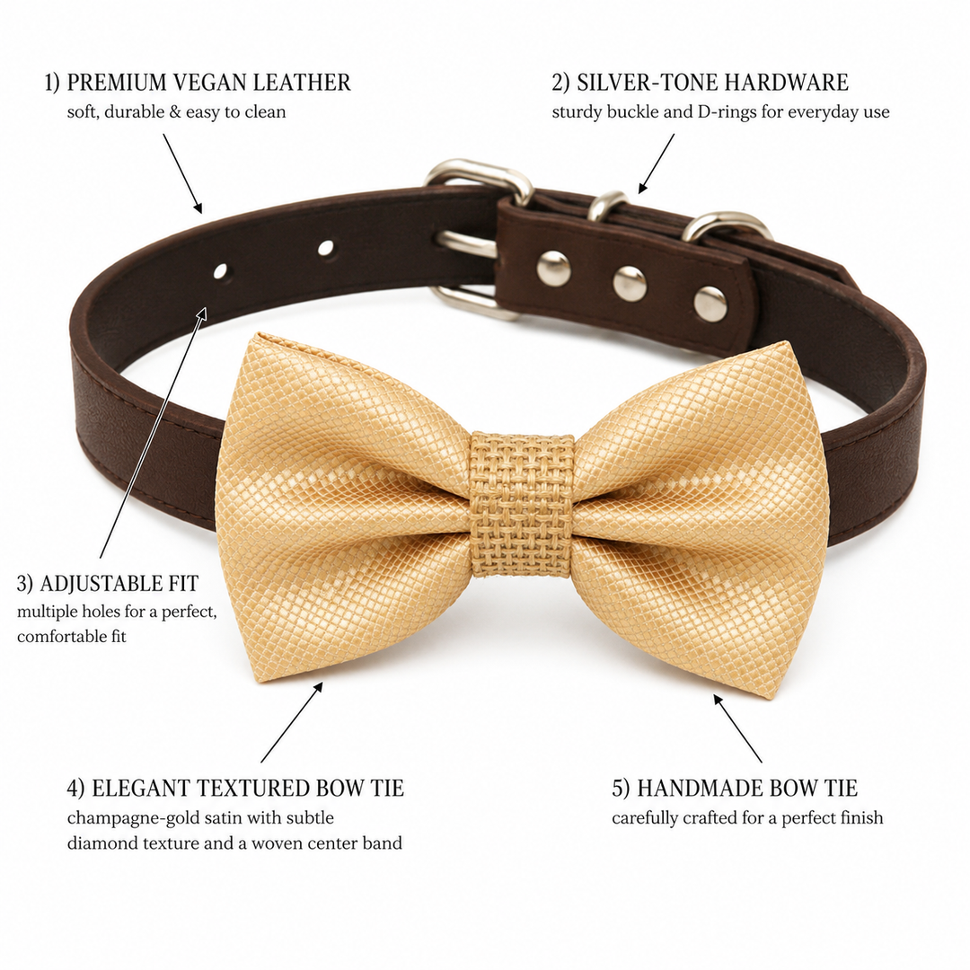 Feature guide showing champagne ring bearer dog bow tie collar with vegan leather collar, silver-tone hardware, adjustable fit, textured satin bow tie, and handmade craftsmanship