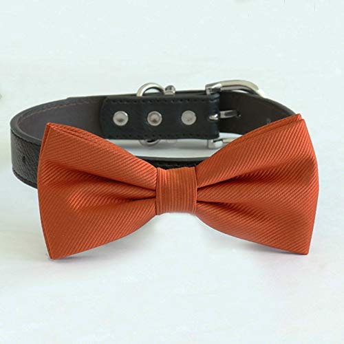 Cinnamon brown dog bow tie attached to a black vegan leather collar