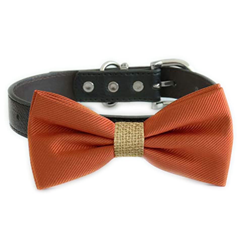 Cinnamon orange dog bow tie collar with burlap center accent and black vegan leather collar
