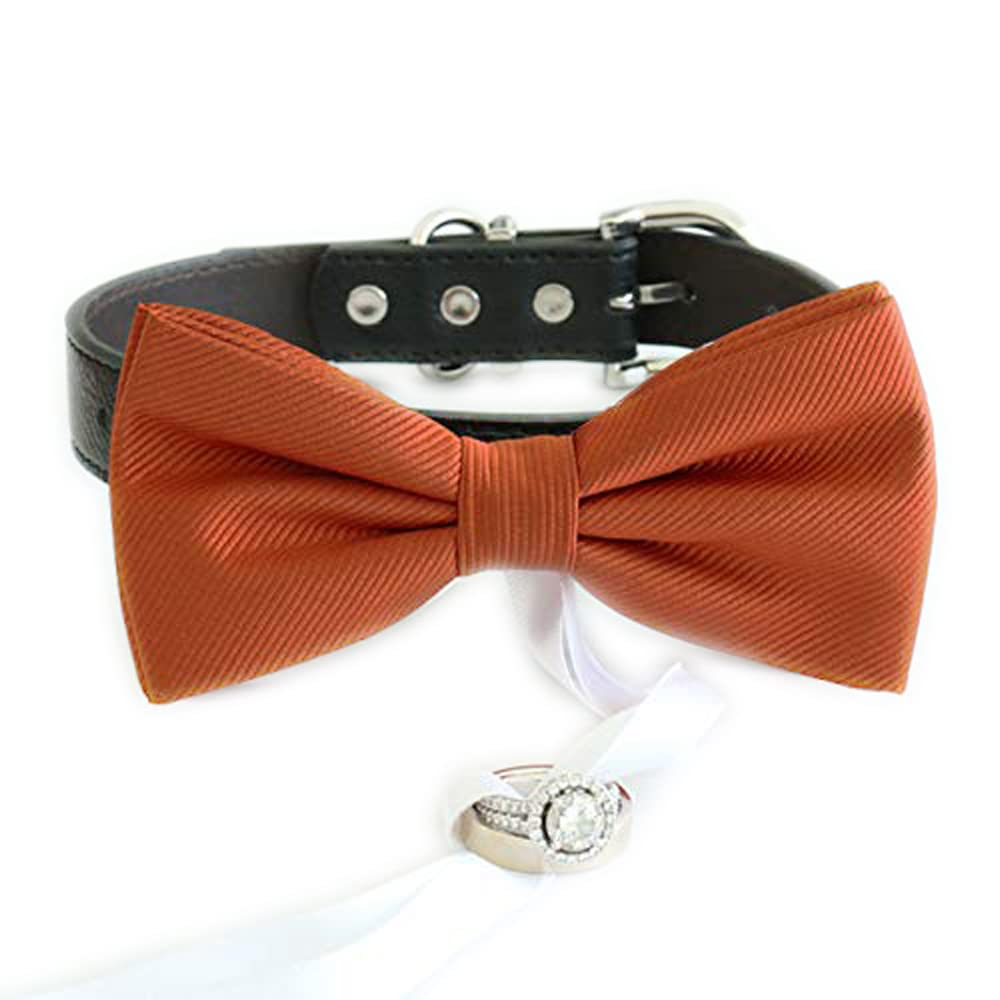 Cinnamon orange ring bearer dog bow tie collar featuring a white ribbon ring holder and decorative ring display