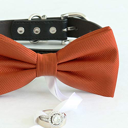 Close-up of cinnamon orange ring bearer dog bow tie with attached white ribbon ring holder and wedding ring display