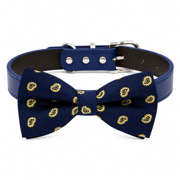 Blue dog bow tie collar with classic gold paisley pattern, blue vegan leather collar, and silver-tone hardware