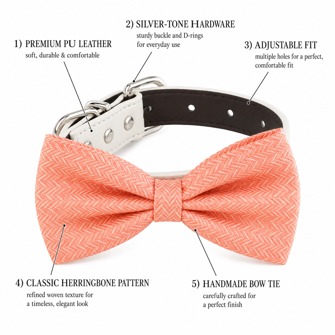 Coral dog bow tie collar feature guide showing herringbone fabric, adjustable vegan leather collar, silver hardware, and handmade craftsmanship