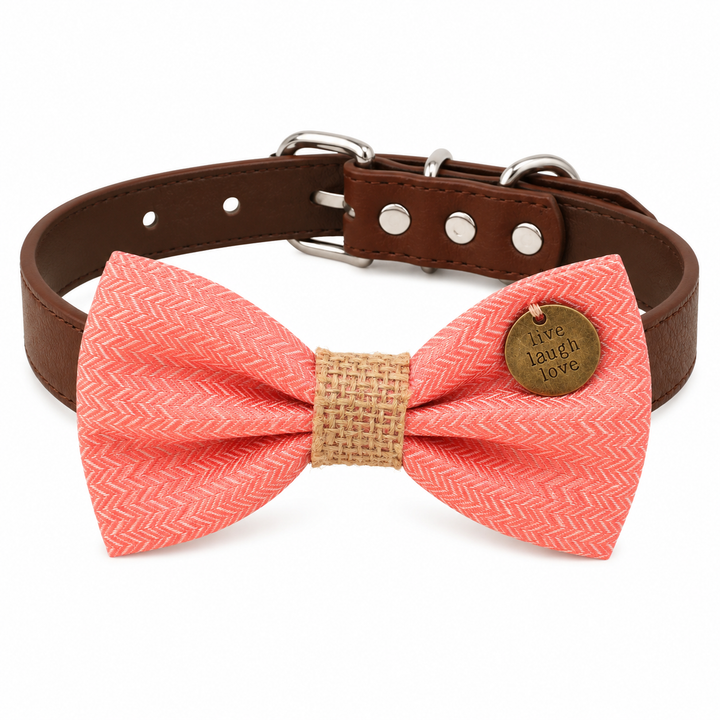 Coral herringbone dog bow tie collar with brown vegan leather collar and decorative charm on white background.