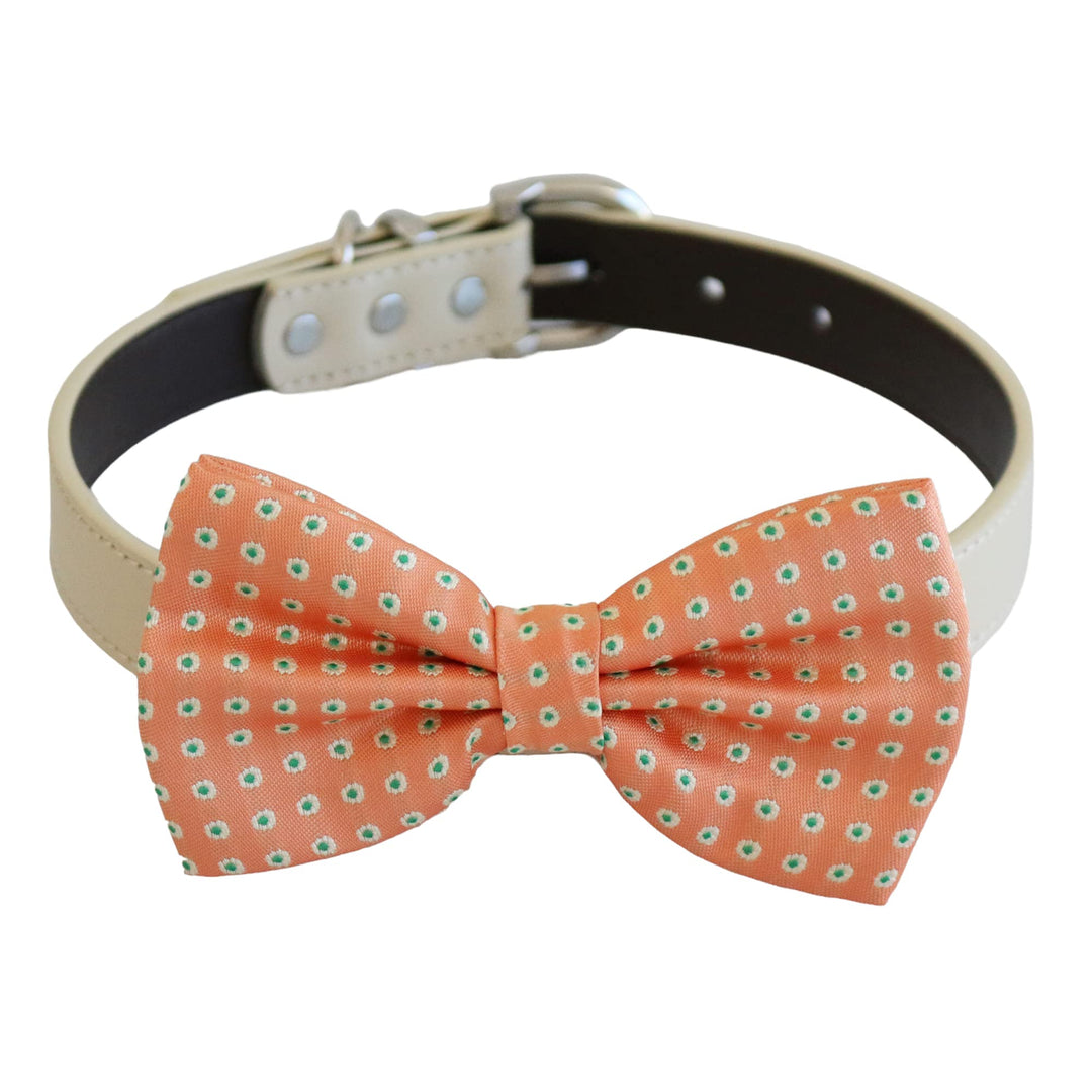 Coral polka dot dog bow tie collar with cream vegan leather collar and playful patterned design