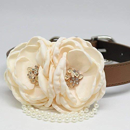 Ivory floral dog collar featuring two large fabric flowers with crystal centers and pearl trim accents.