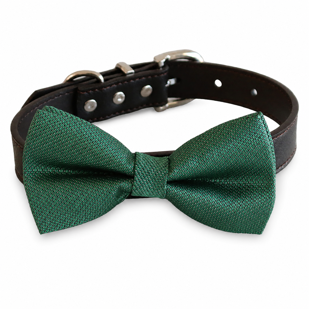 Emerald green dog bow tie collar with woven texture fabric, dark brown vegan leather collar, and silver-tone hardware