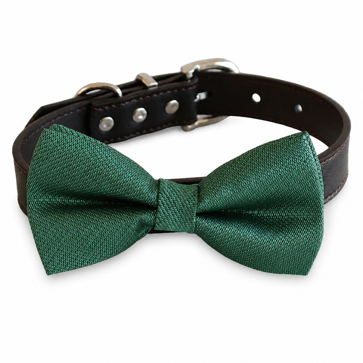 Emerald green dog bow tie collar with woven texture fabric, dark brown vegan leather collar, and silver-tone hardware