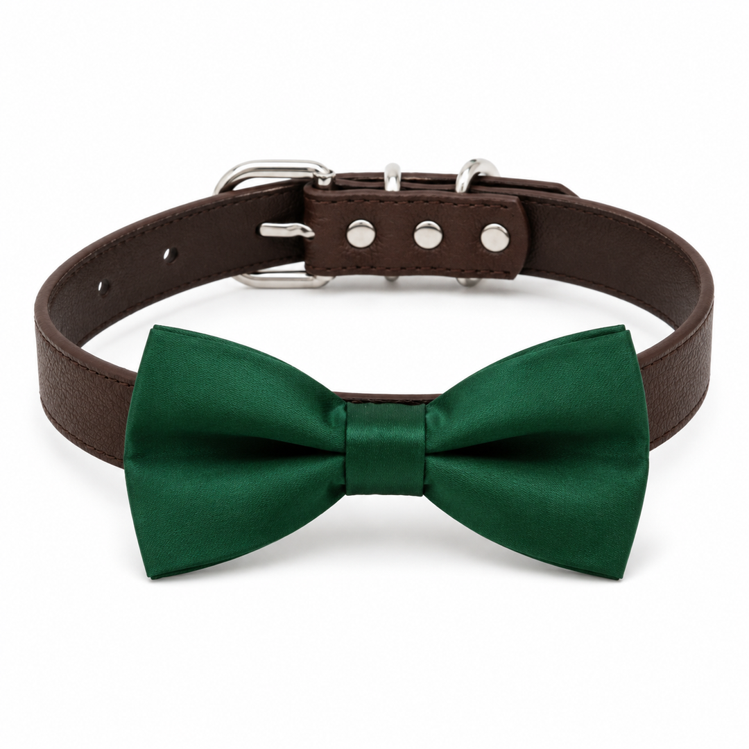 Emerald green solid color dog bow tie collar with dark brown vegan leather collar and silver-tone hardware