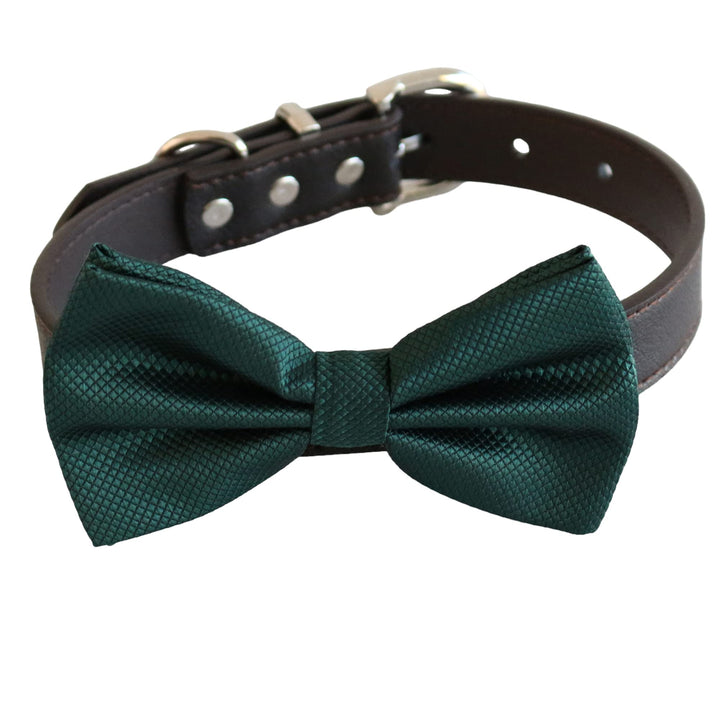 Emerald green textured dog bow tie collar with dark brown vegan leather collar and silver-tone hardware