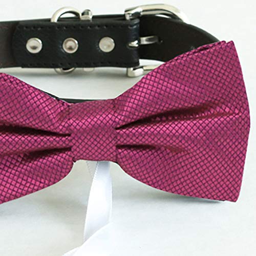 Close-up detail of a fuchsia red ring bearer dog bow tie with textured satin fabric and black vegan leather collar
