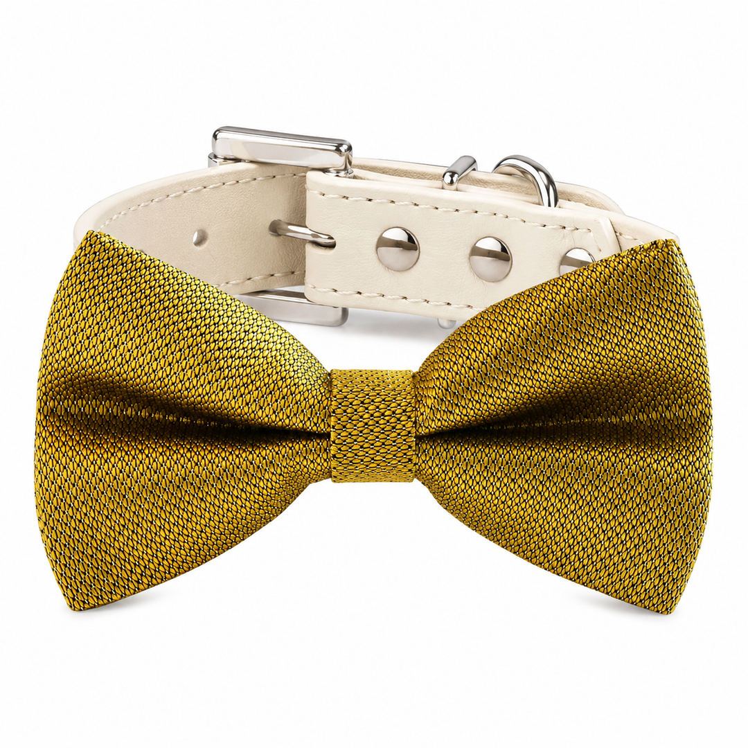 Gold textured dog bow tie collar with ivory vegan leather collar and silver-tone hardware