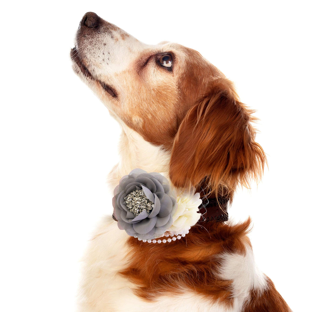 Dog wearing a gray and ivory floral collar with chiffon flower, crystal centerpiece, pearl accents, and decorative veil detail.