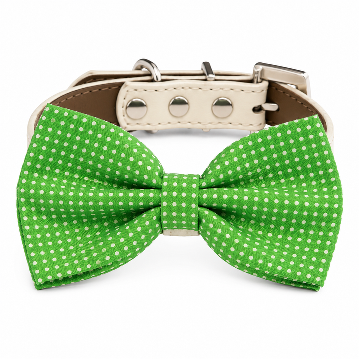 Green polka dot dog bow tie collar with ivory vegan leather collar and silver-tone hardware
