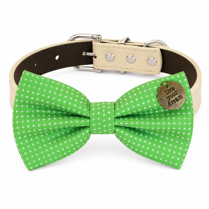 Green polka dot dog bow tie collar with live your dream charm and cream vegan leather collar