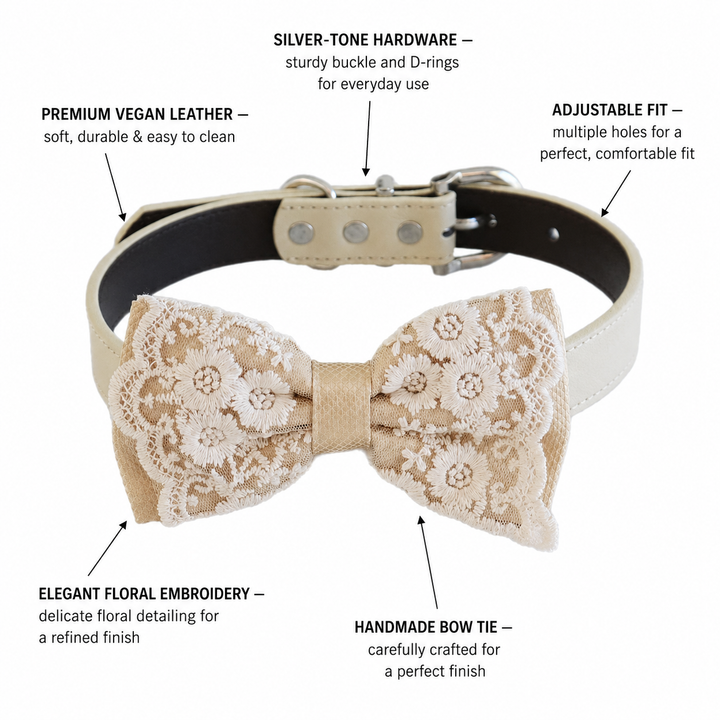 Ivory lace dog bow tie collar feature guide showing vegan leather collar, adjustable fit, silver-tone hardware, and floral embroidery details.