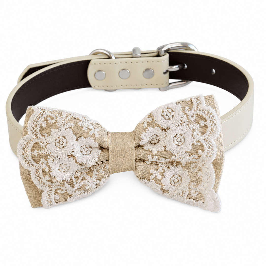 Ivory lace dog bow tie collar with floral embroidered bow tie, adjustable vegan leather collar, and silver-tone hardware.