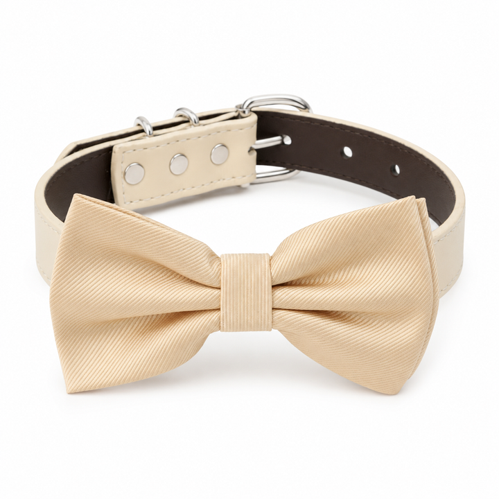 Ivory ring bearer dog bow tie collar with vegan leather collar and elegant satin bow tie