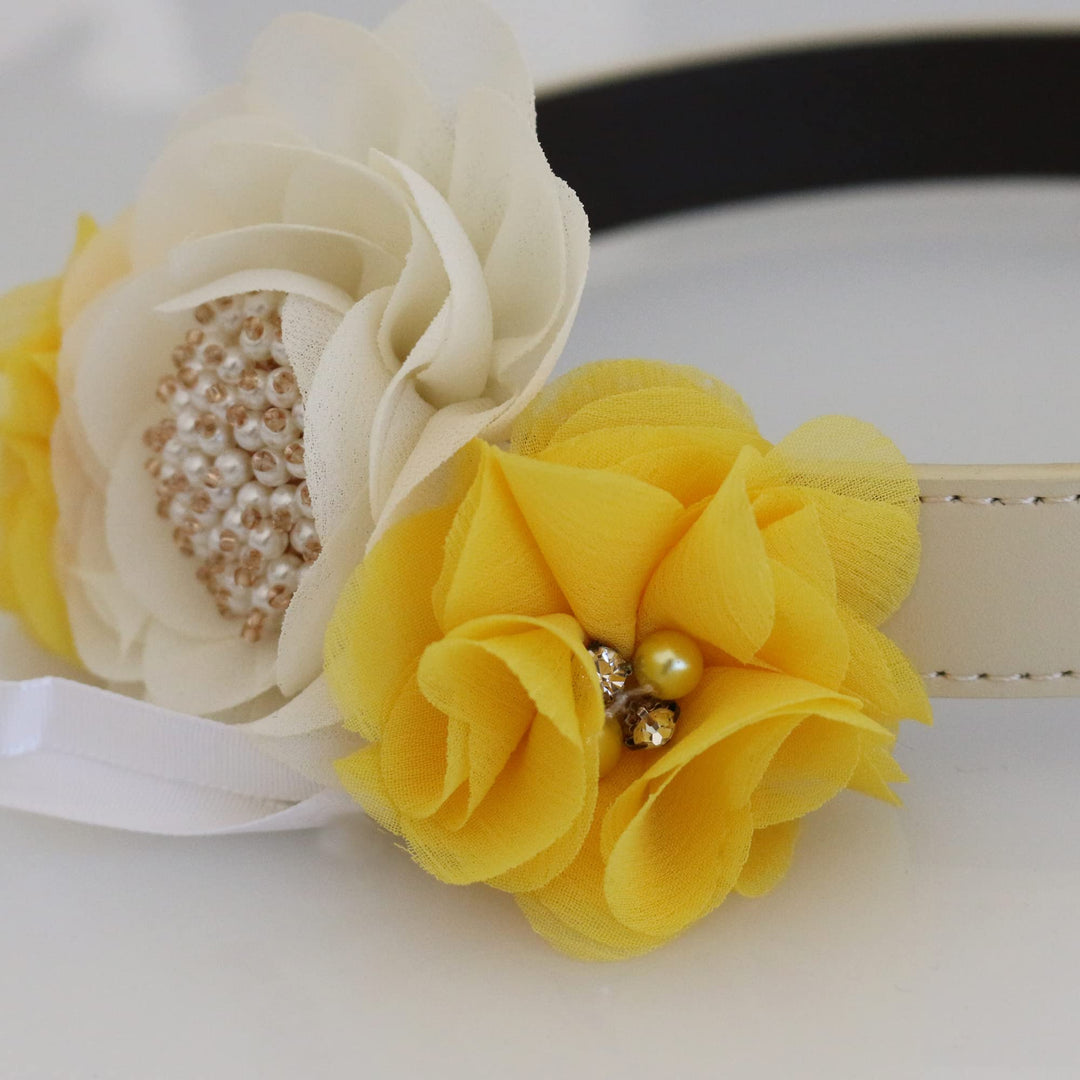 Ivory floral ring bearer dog collar with bright yellow chiffon flowers, pearl center detail, and white ribbon holder.