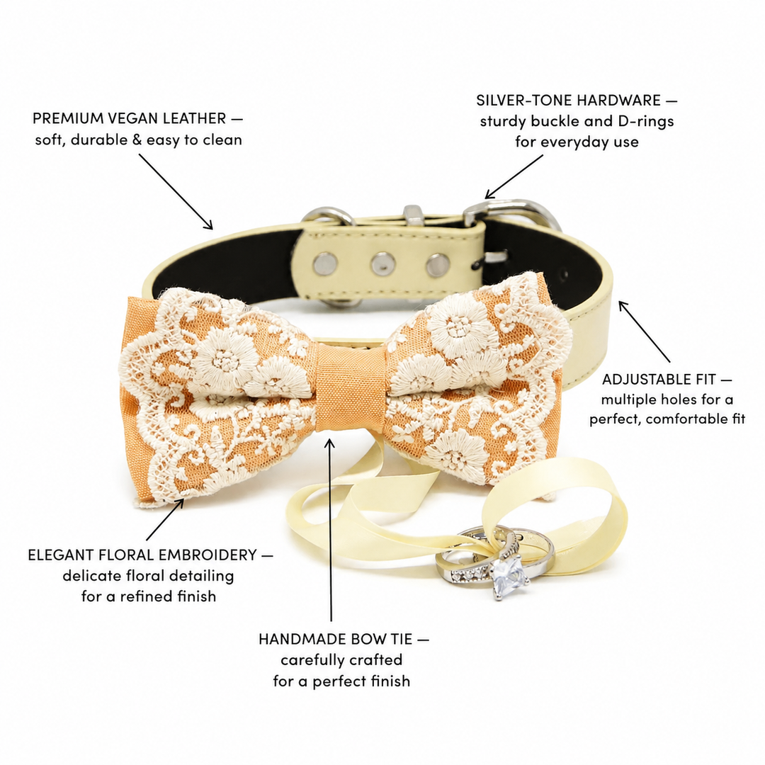 Lace ring bearer dog bow tie collar highlighting vegan leather, silver hardware, floral embroidery, and adjustable fit.