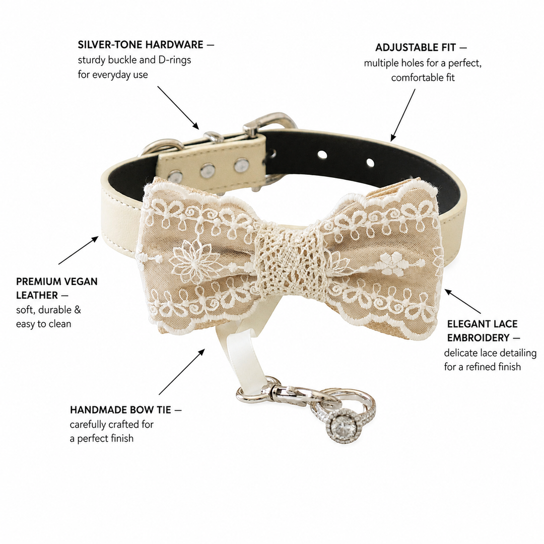 Lace ring bearer dog bow tie collar feature guide showing vegan leather collar hardware adjustable fit and embroidery details