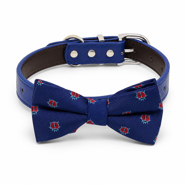 Blue dog bow tie collar with playful red ladybug pattern, blue vegan leather collar, and silver-tone hardware