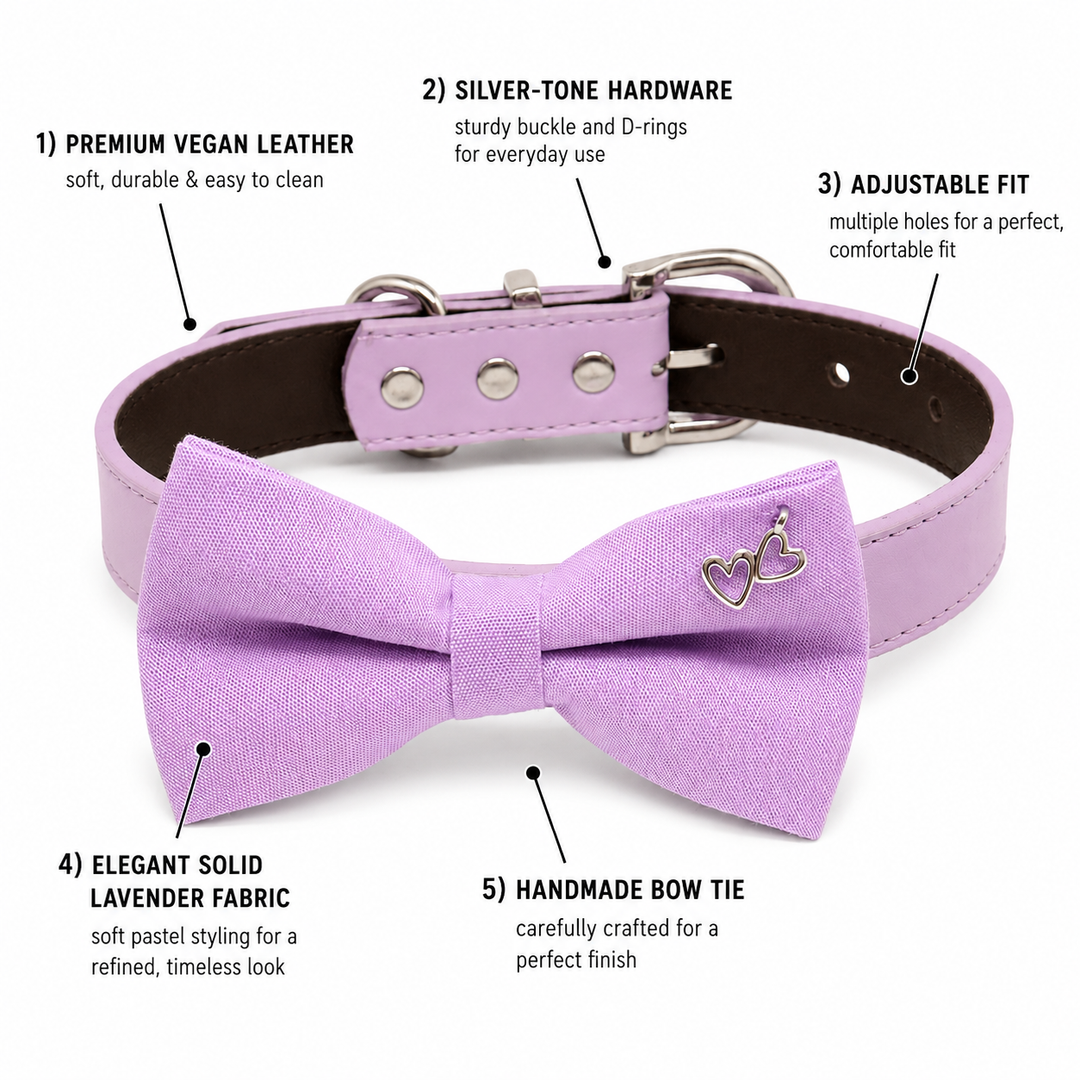 Lavender dog bow tie collar feature guide showing vegan leather collar, silver hardware, adjustable fit, heart charm, and handmade bow tie