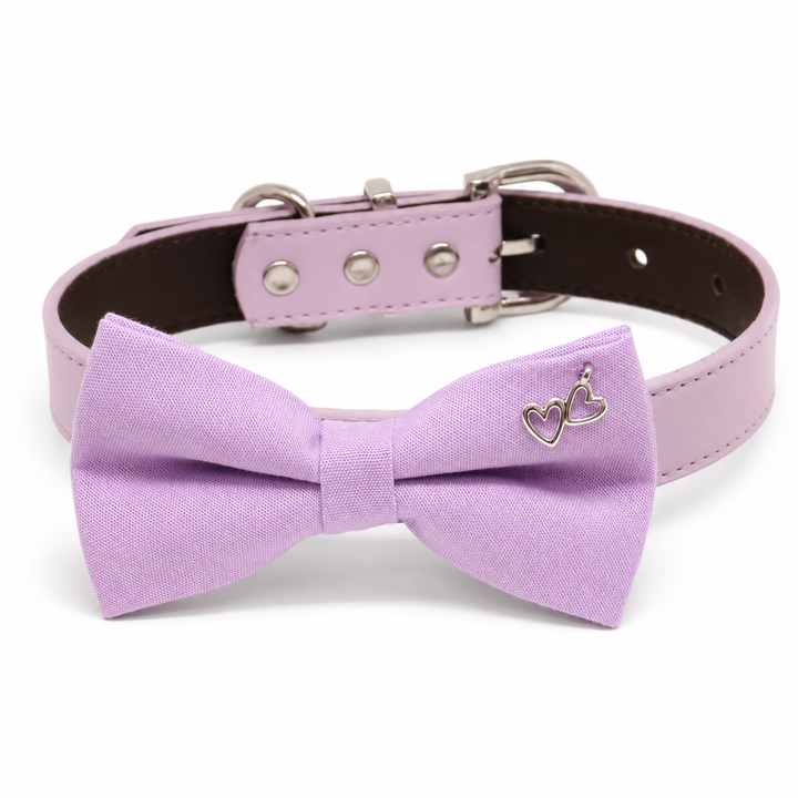 Lavender handmade dog bow tie with double heart charm attached to matching vegan leather collar