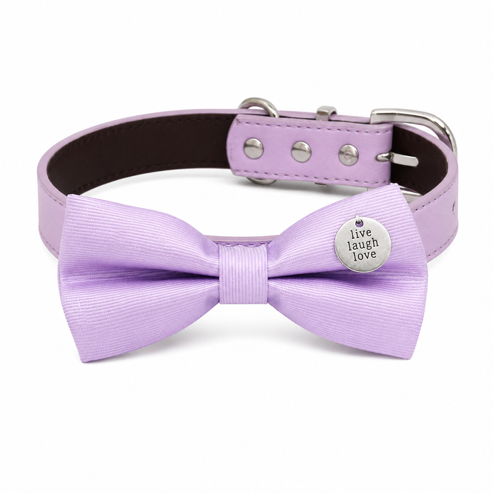 Lavender satin dog bow tie with engraved live laugh love charm attached to a matching vegan leather collar