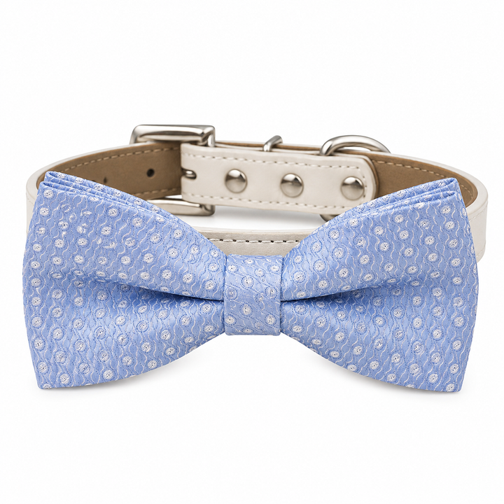 Light blue textured dog bow tie collar with ivory vegan leather collar and elegant woven pattern