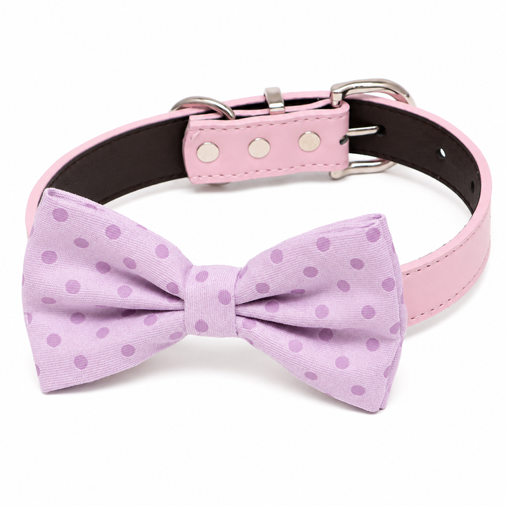 Lilac polka dot dog bow tie collar with soft pink vegan leather collar and subtle dotted pattern