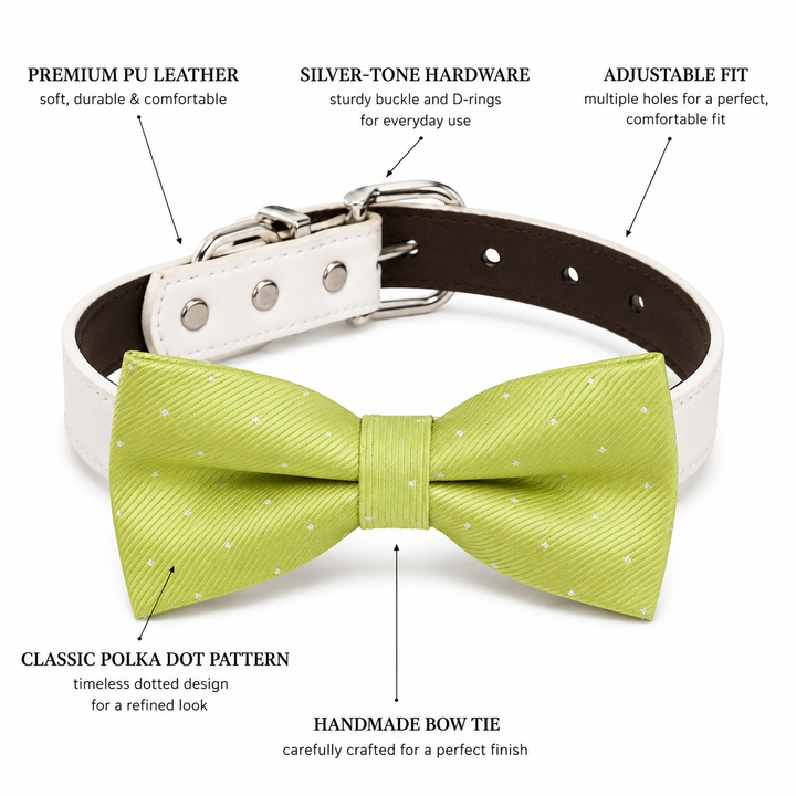 Dog bow tie collar feature guide showing textured bow tie, vegan leather collar, silver-tone hardware, and adjustable fit