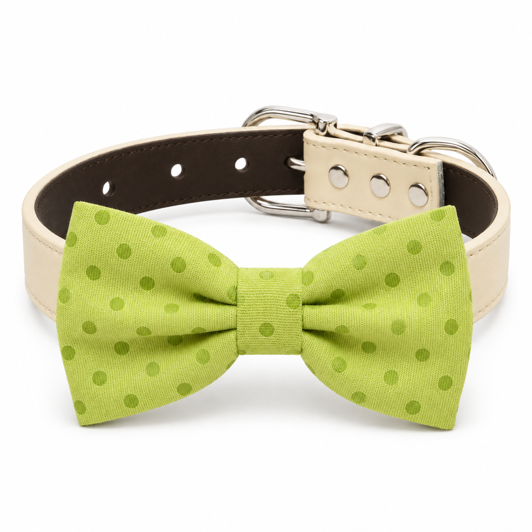 Lime green polka dot dog bow tie collar with ivory vegan leather collar and silver-tone hardware