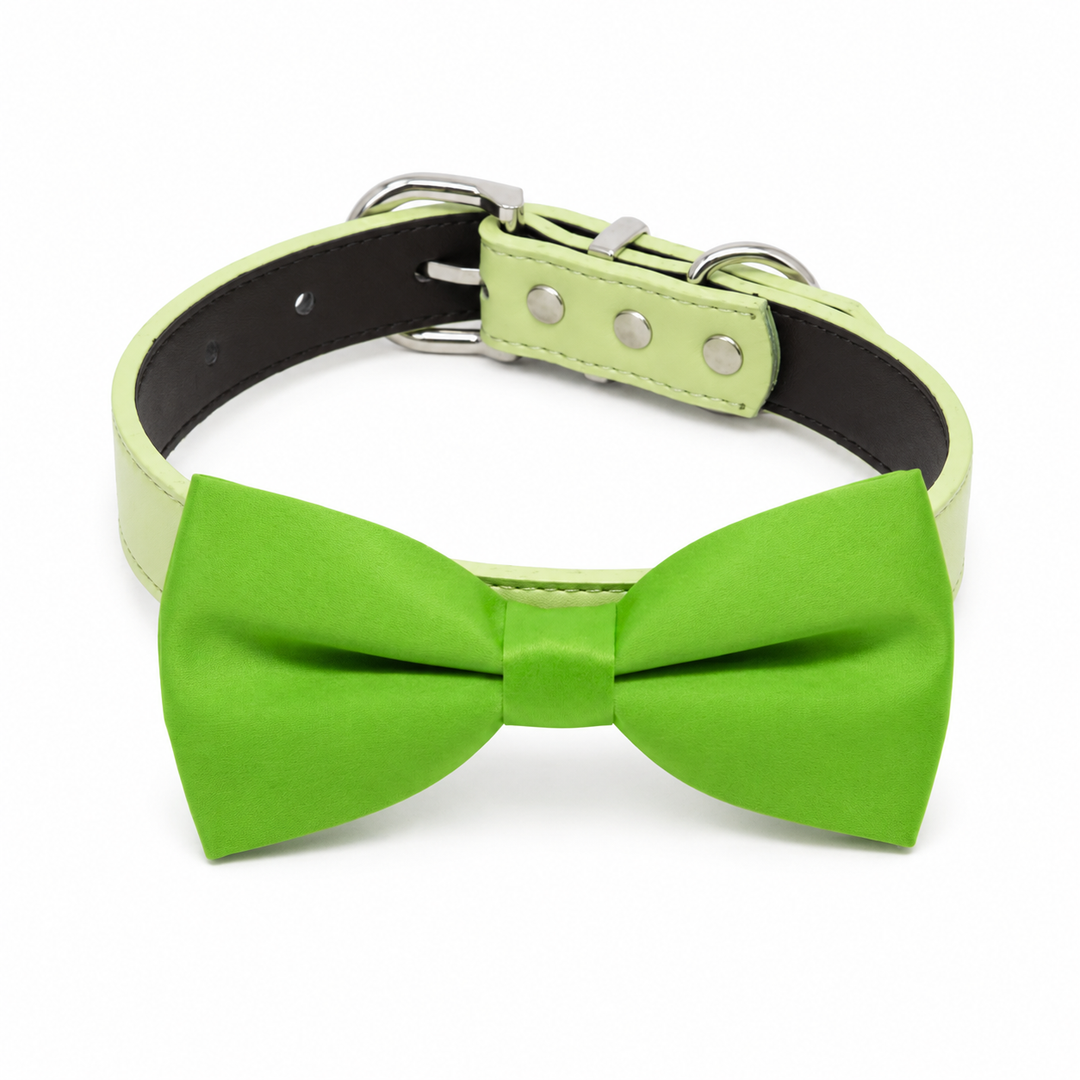 Bright lime green satin dog bow tie collar with matching light green vegan leather collar and silver-tone hardware