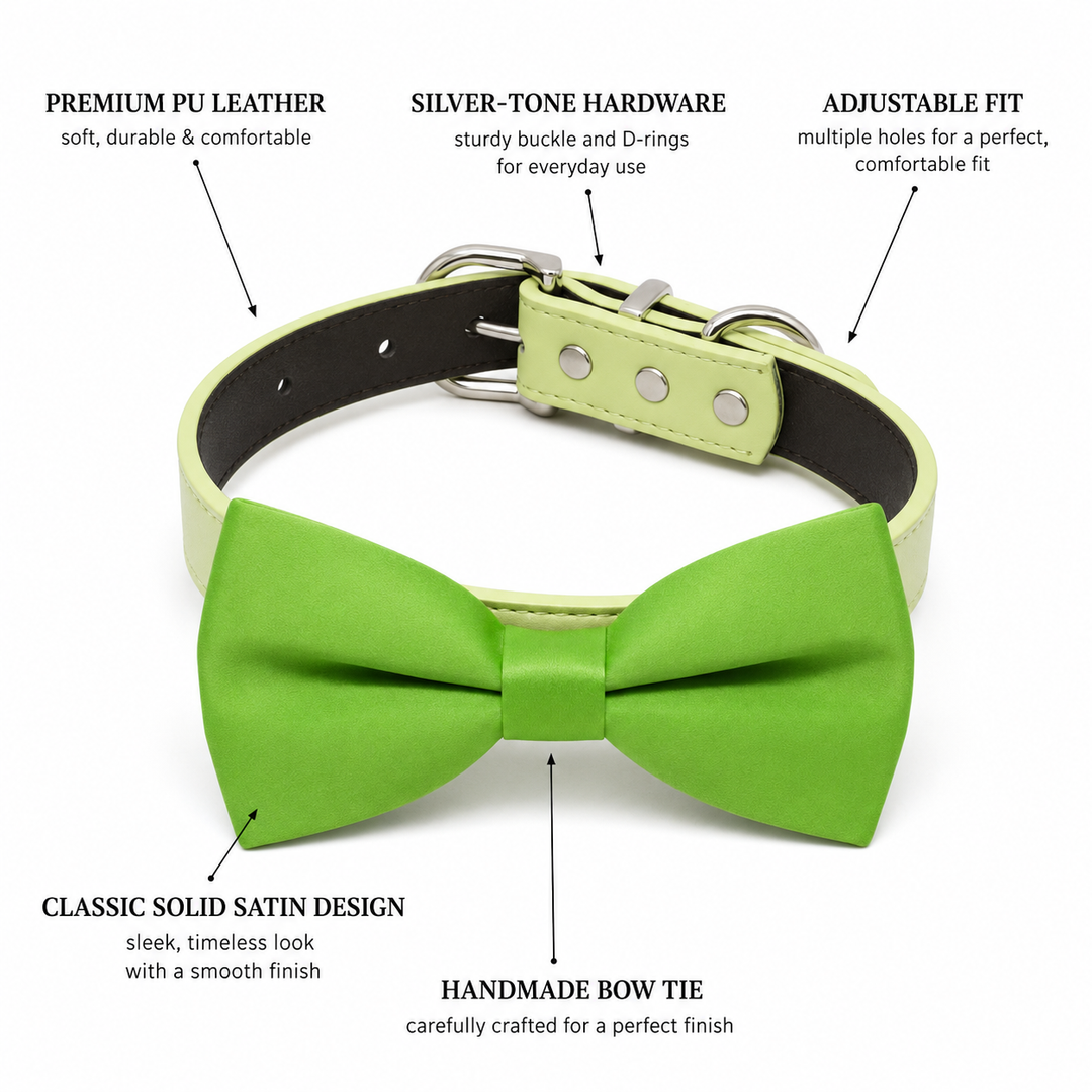 Dog bow tie collar feature guide showing satin bow tie, vegan leather collar, silver-tone hardware, and adjustable fit