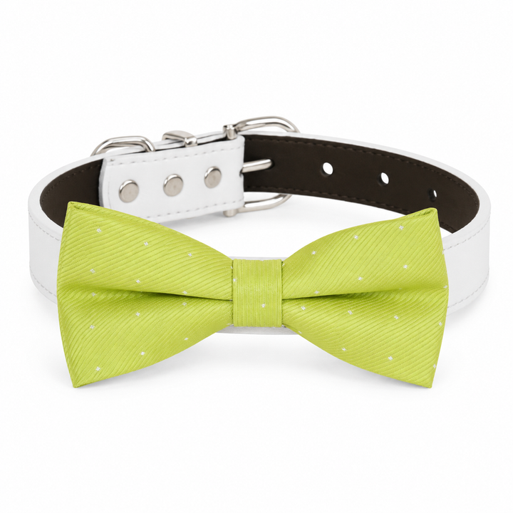 Lime green textured dog bow tie collar with white vegan leather collar and silver-tone hardware