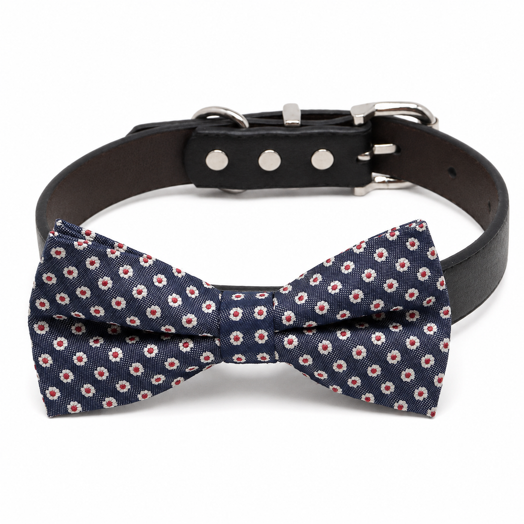 Navy blue dog bow tie collar with mini floral pattern, black vegan leather collar, and silver-tone hardware