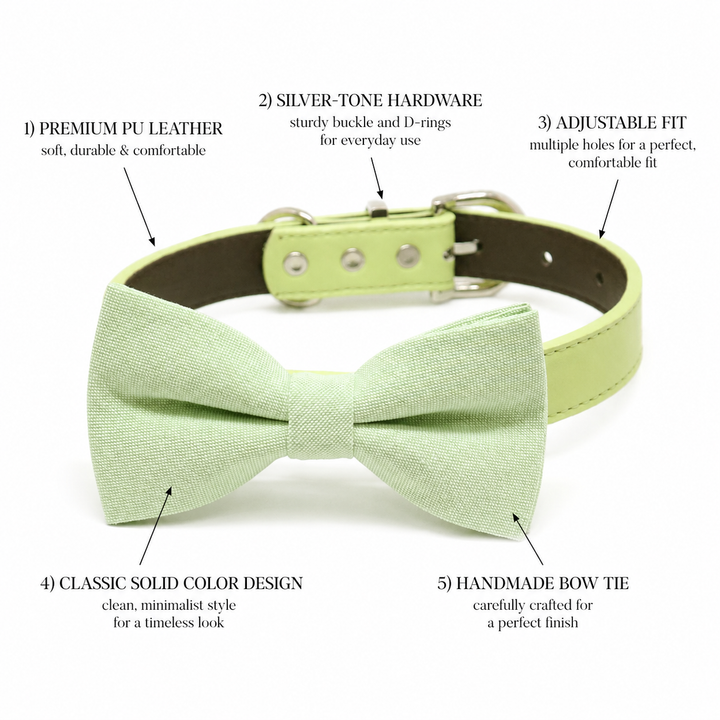 Dog bow tie collar feature guide showing mint green bow tie, vegan leather collar, silver-tone hardware, and adjustable fit