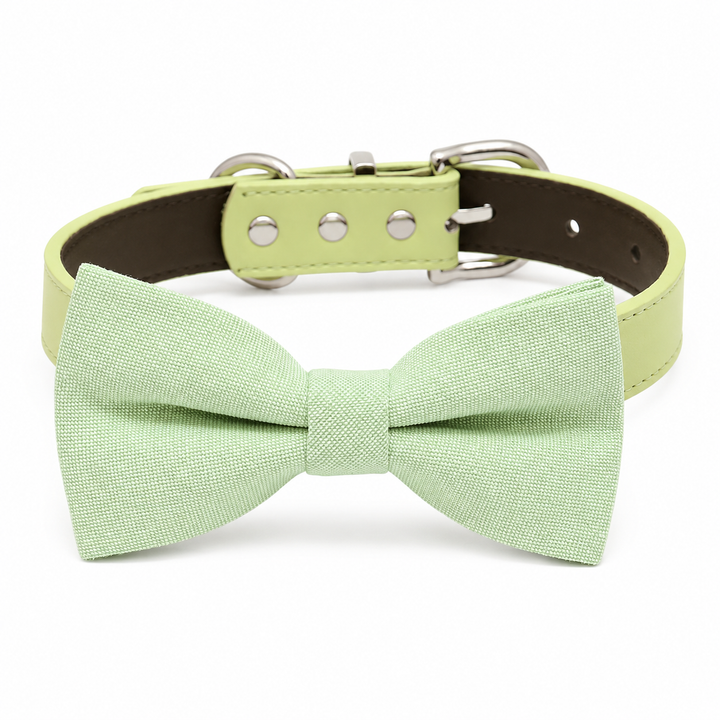 Mint green solid color dog bow tie collar with matching vegan leather collar and silver-tone hardware