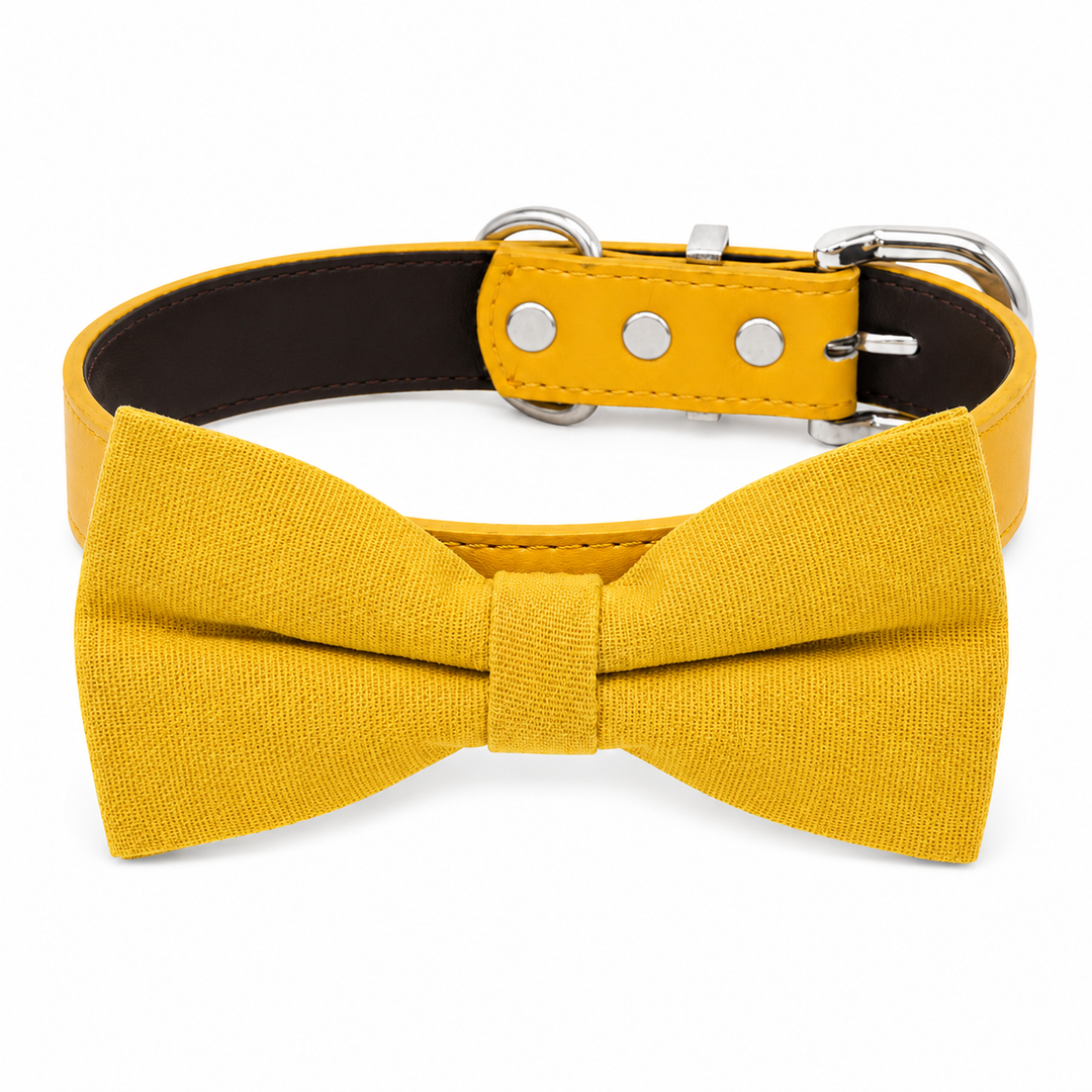 Mustard yellow linen style dog bow tie collar with matching vegan leather collar and silver-tone hardware
