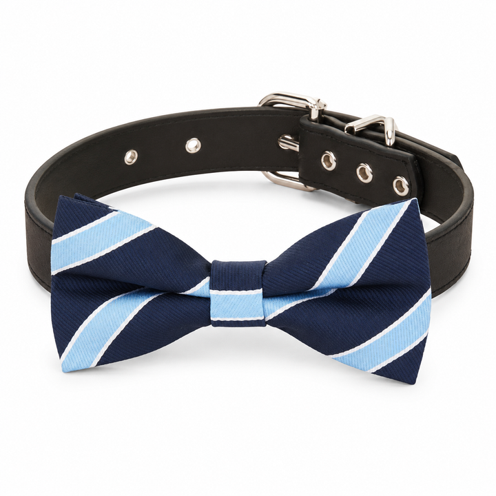 Navy blue dog bow tie collar with light blue and white diagonal stripe pattern, black vegan leather collar, and silver-tone hardware