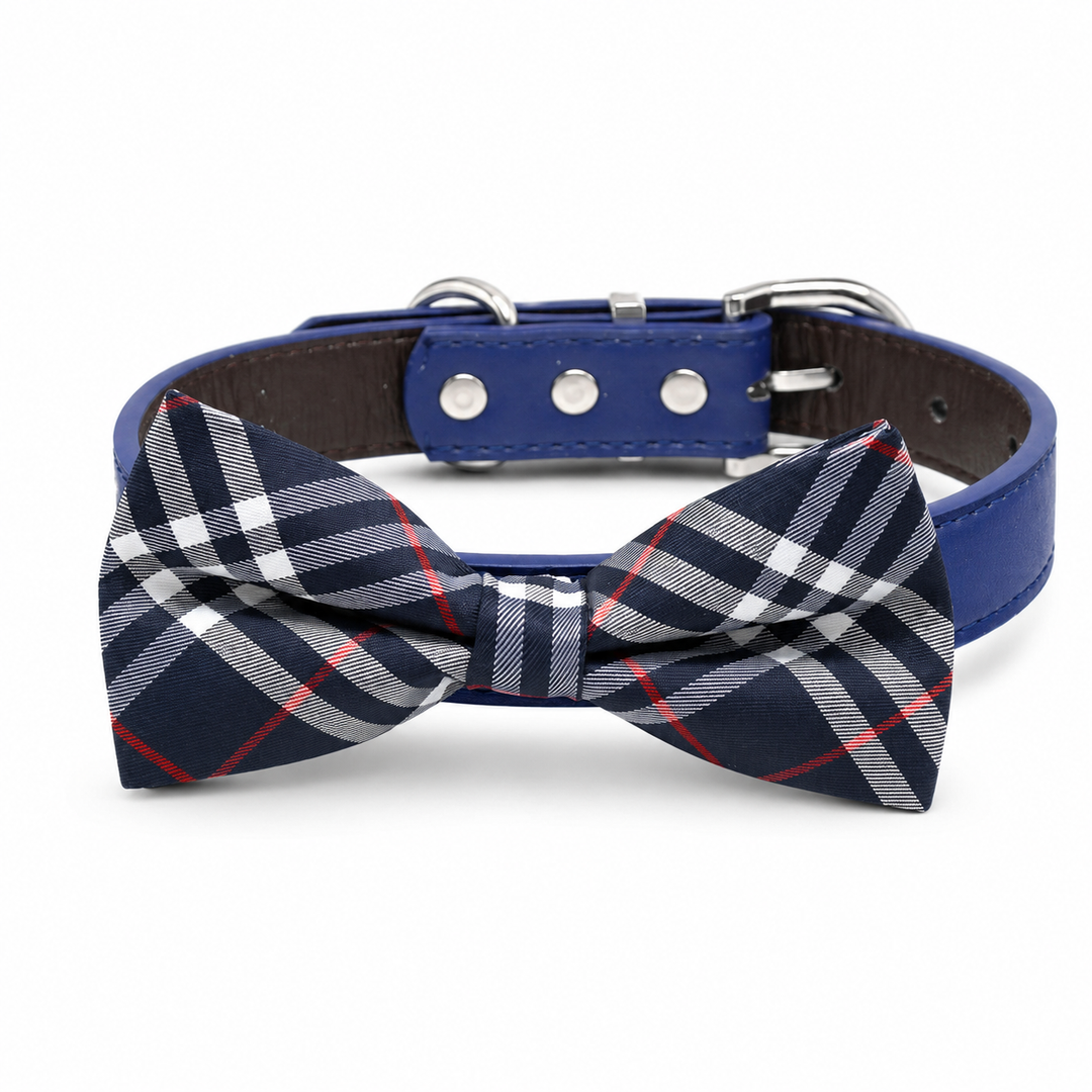 Navy check pattern dog bow tie collar with white and red plaid design, blue vegan leather collar, and silver-tone hardware